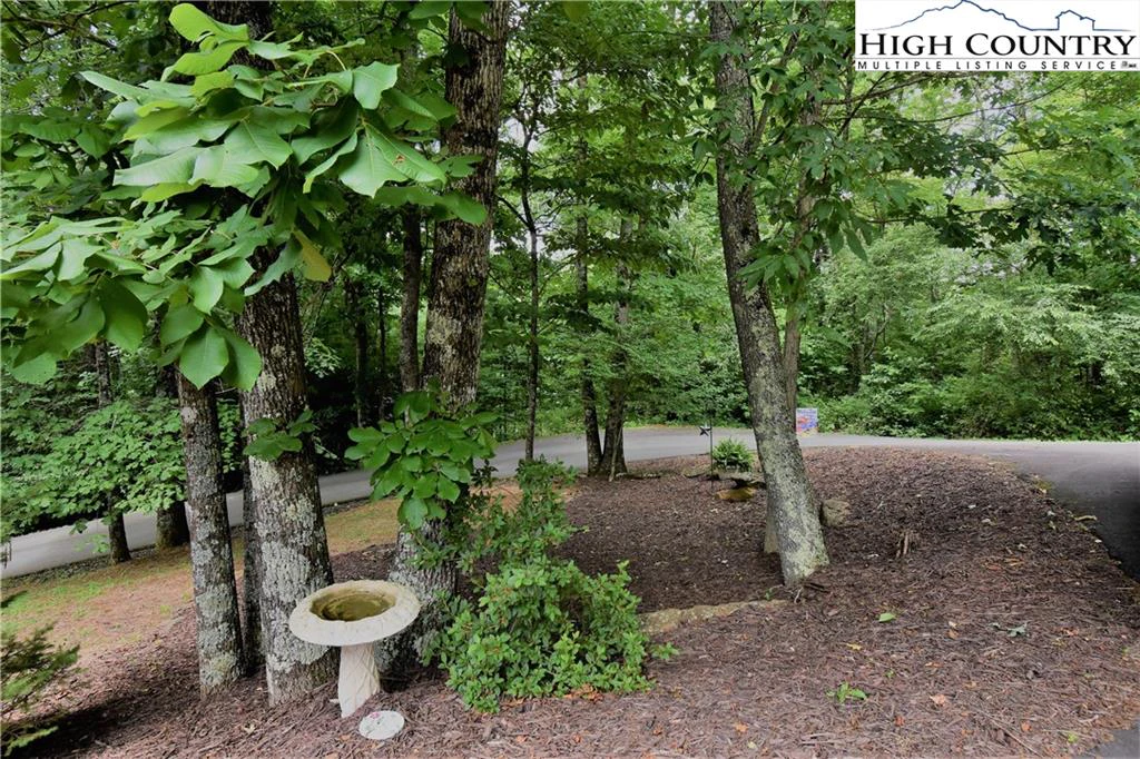 Image number 4 for the current listing