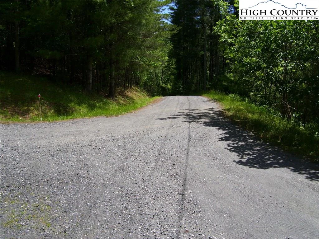 Image number 4 for the current listing