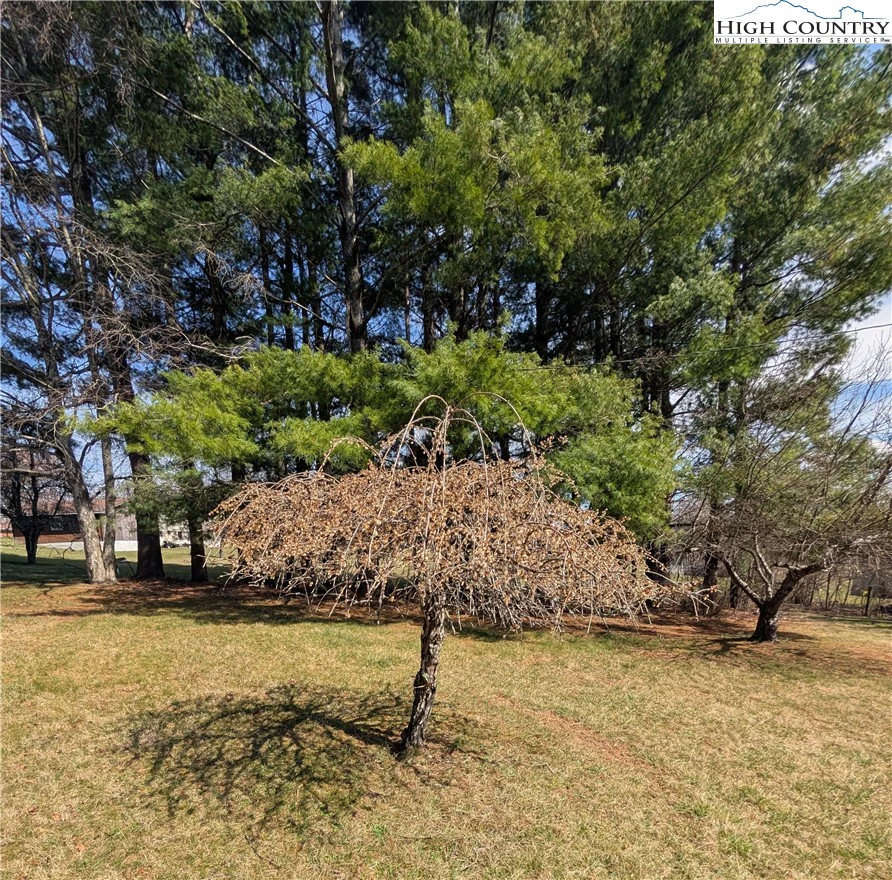 Image number 15 for the current listing