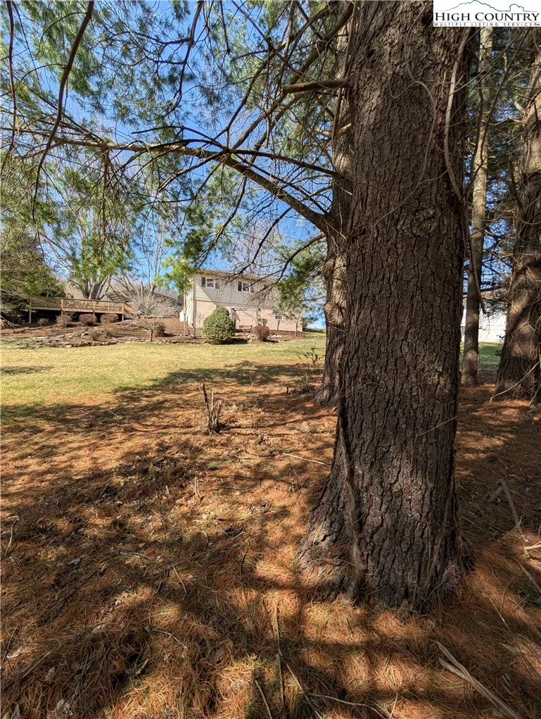 Image number 17 for the current listing