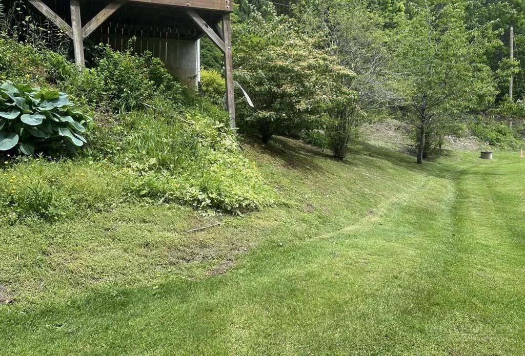 Image number 6 for the current listing