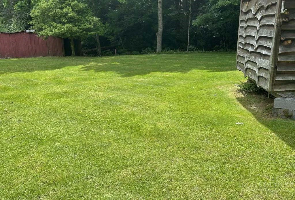 Image number 12 for the current listing