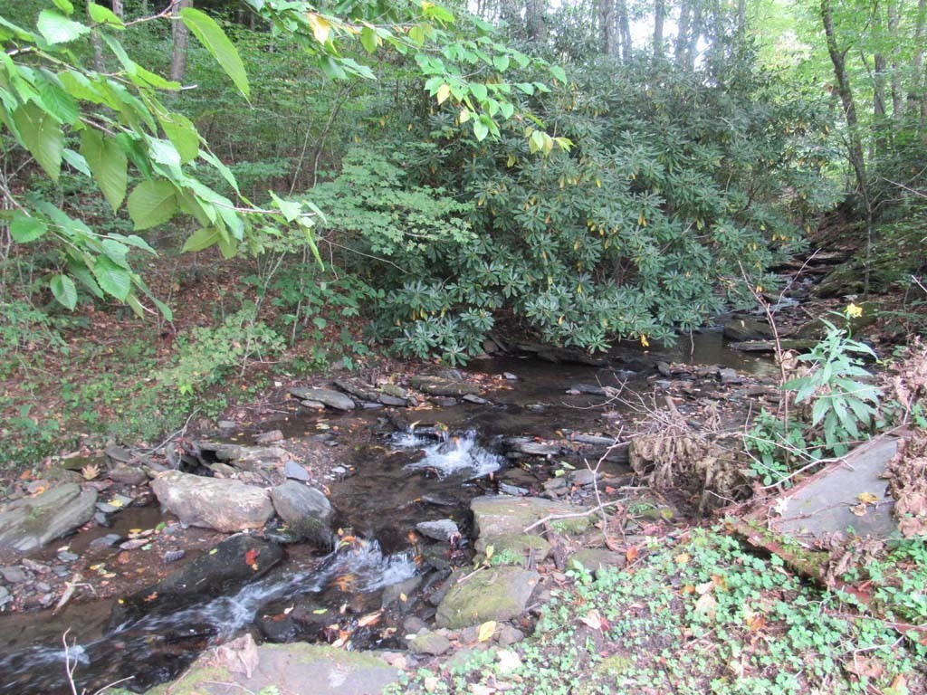 Image number 13 for the current listing