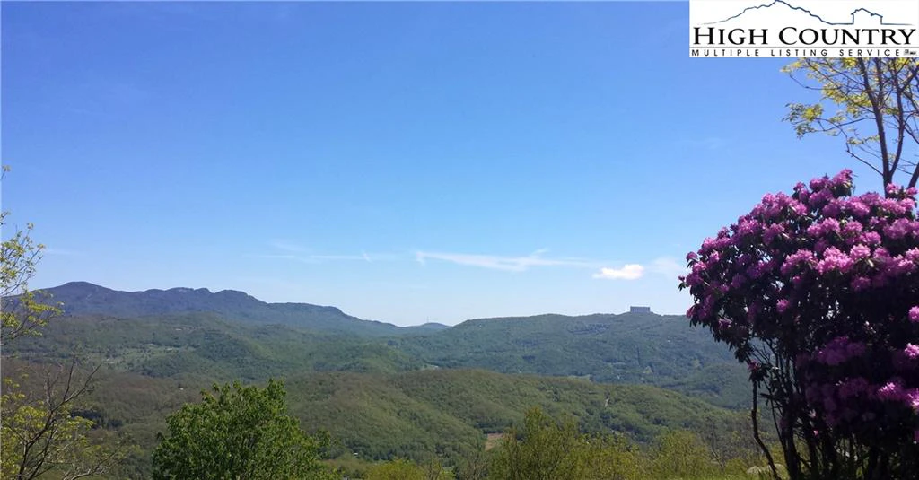 Image number 1 for the current listing