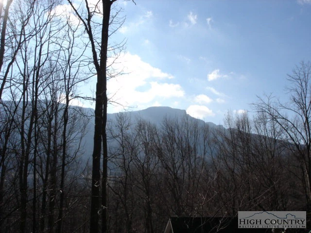 Image number 1 for the current listing