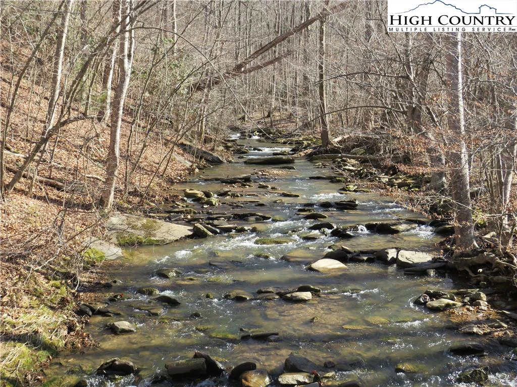 Image number 8 for the current listing