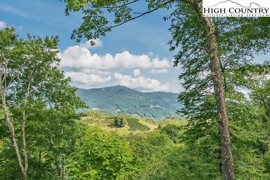 Image number 1 for the current listing