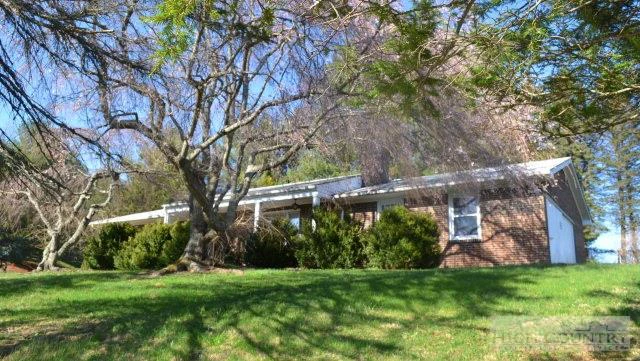 Image number 1 for the current listing