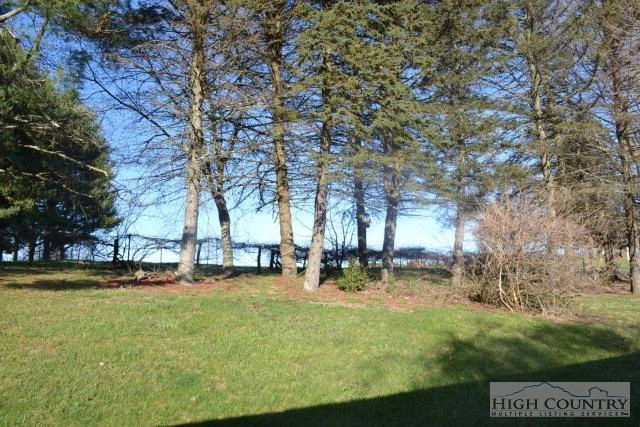 Image number 12 for the current listing