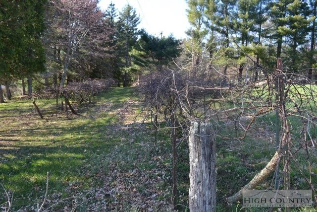 Image number 8 for the current listing