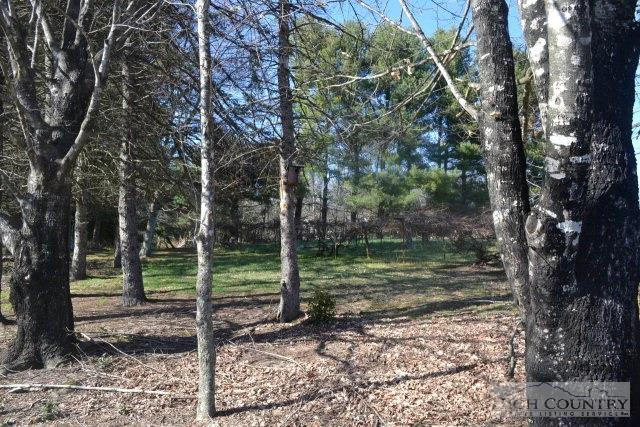Image number 7 for the current listing