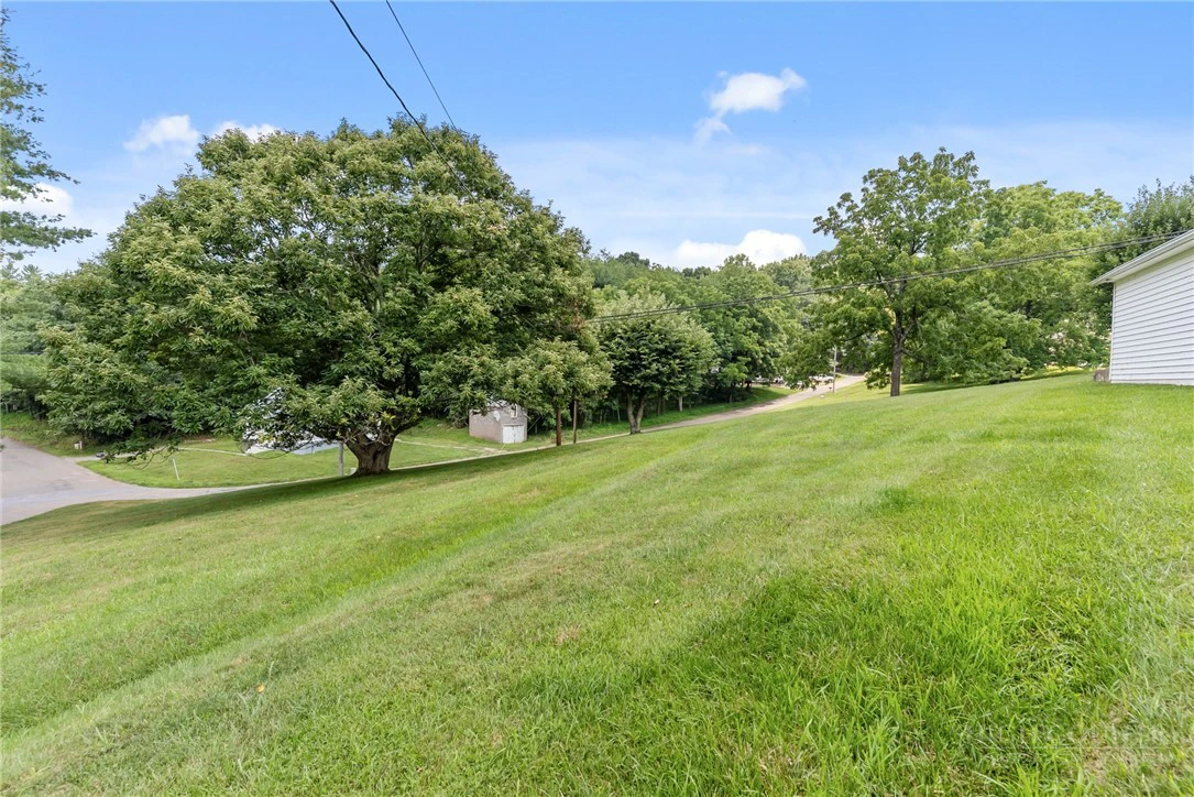 Image number 12 for the current listing