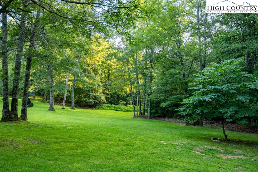 Image number 14 for the current listing