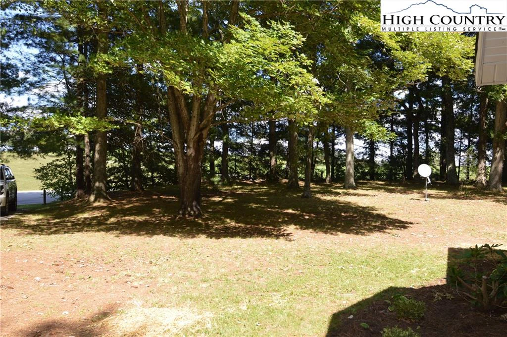 Image number 5 for the current listing