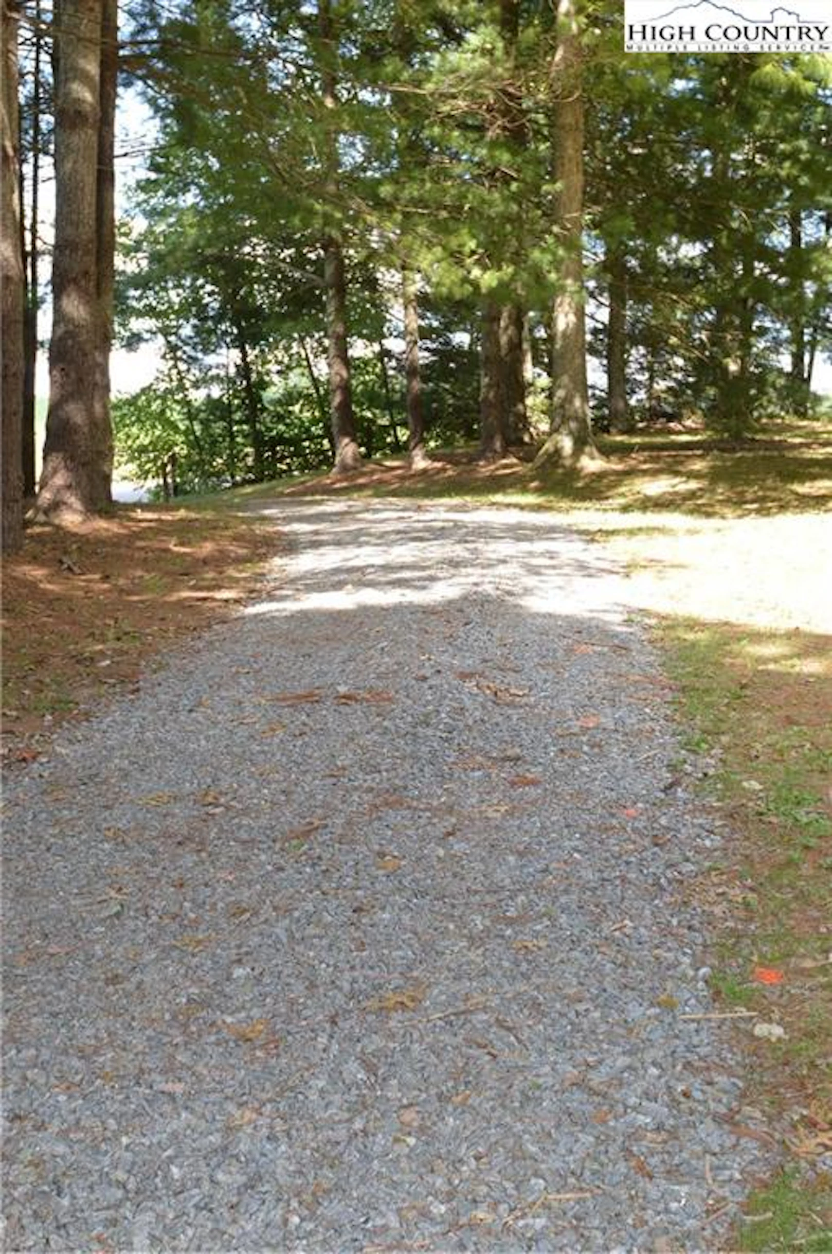Image number 13 for the current listing