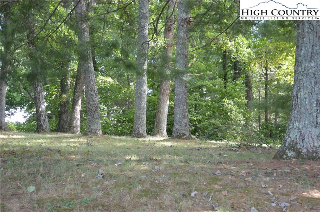 Image number 15 for the current listing