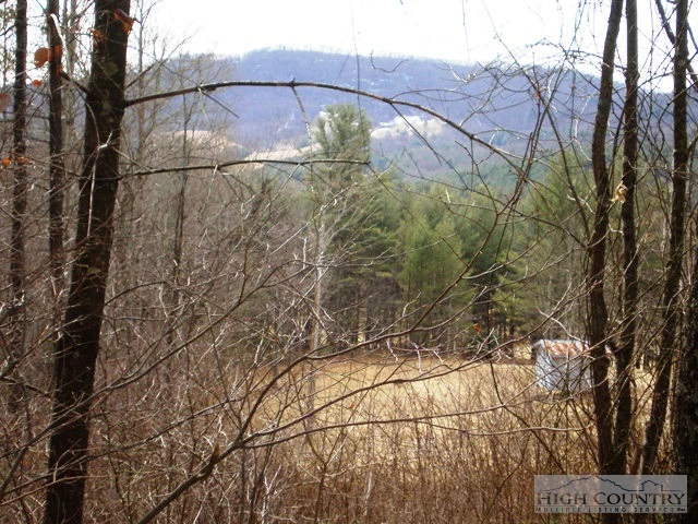 Image number 6 for the current listing