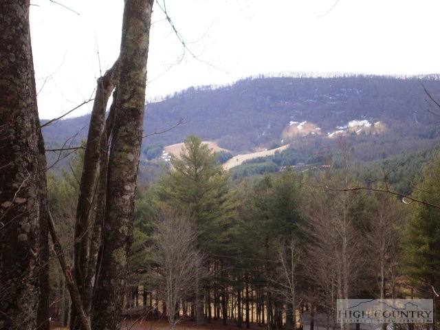 Image number 7 for the current listing