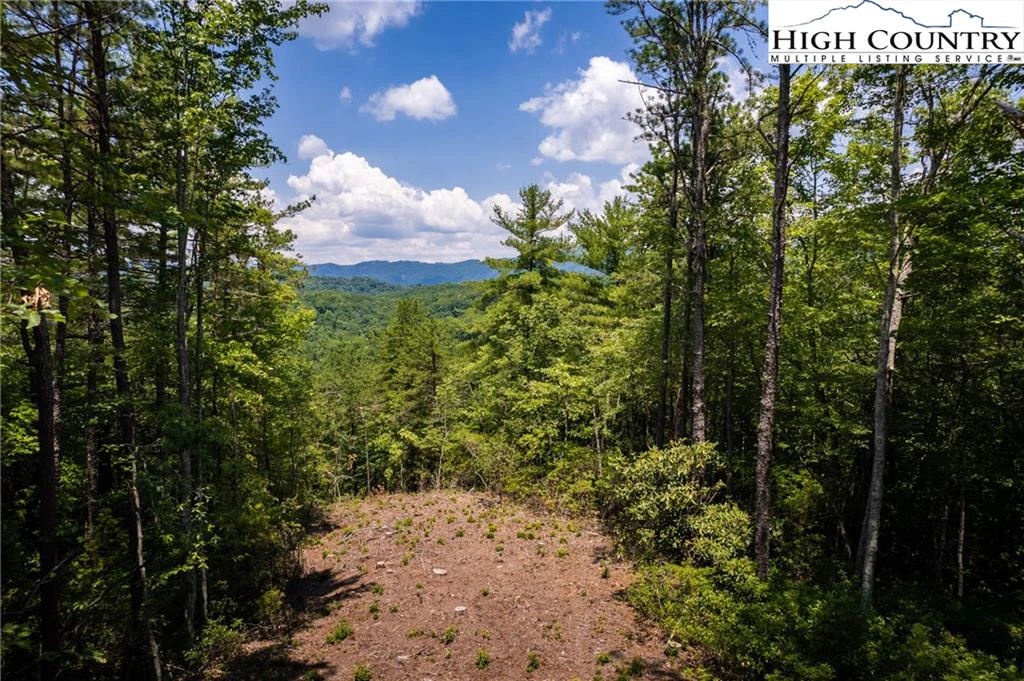 Image number 1 for the current listing