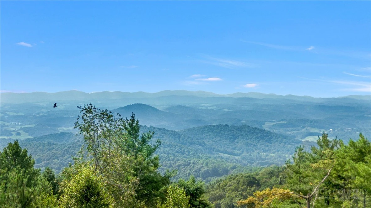 Image number 4 for the current listing