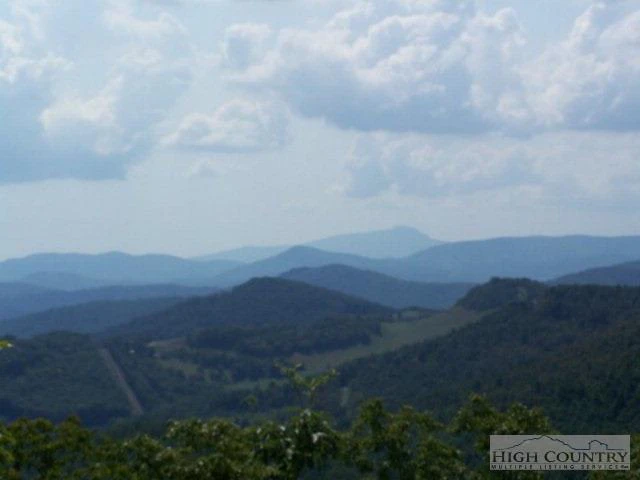 Image number 2 for the current listing
