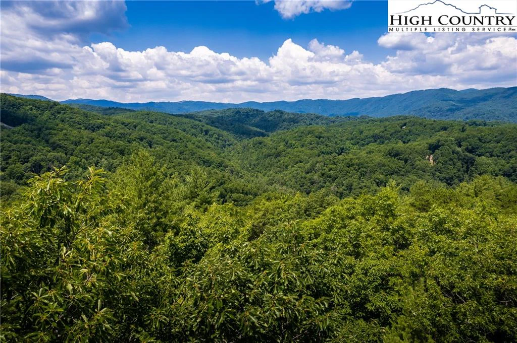 Image number 1 for the current listing