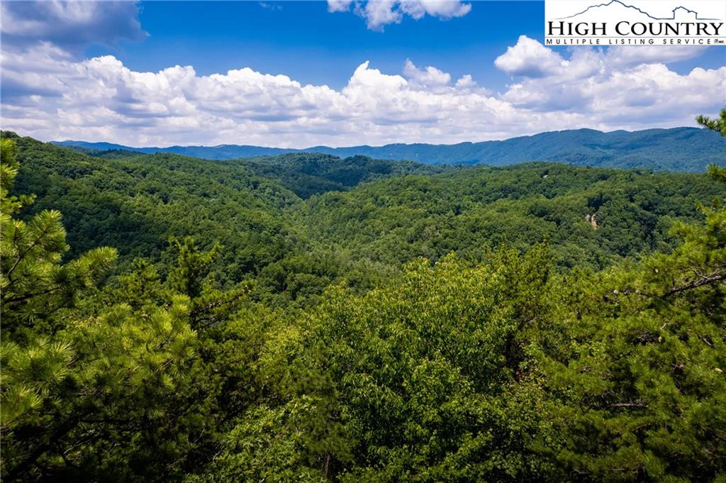 Image number 3 for the current listing