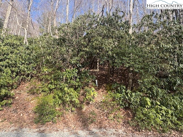 Image number 1 for the current listing