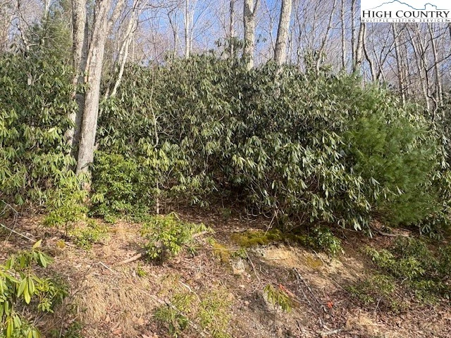 Image number 3 for the current listing