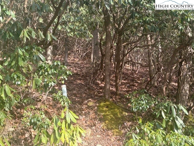 Image number 4 for the current listing