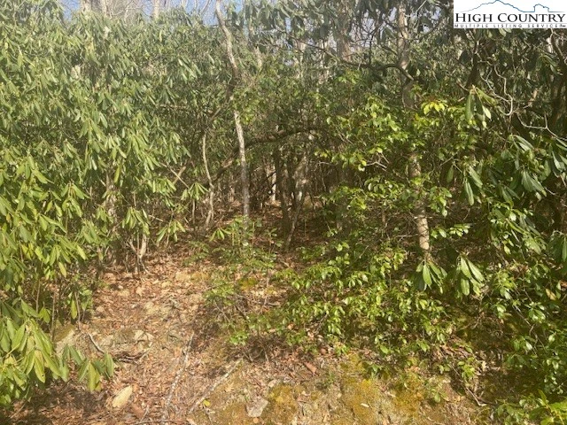 Image number 5 for the current listing