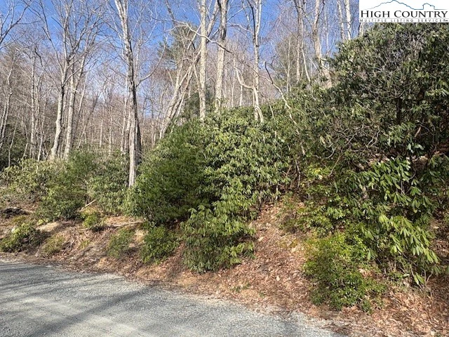 Image number 7 for the current listing