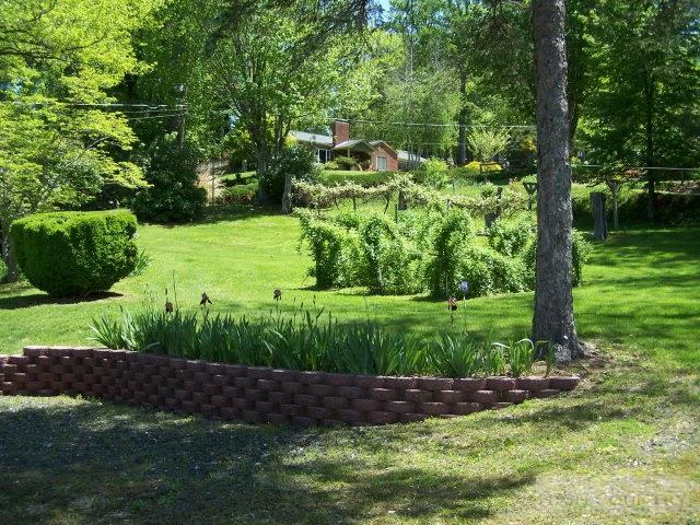 Image number 12 for the current listing