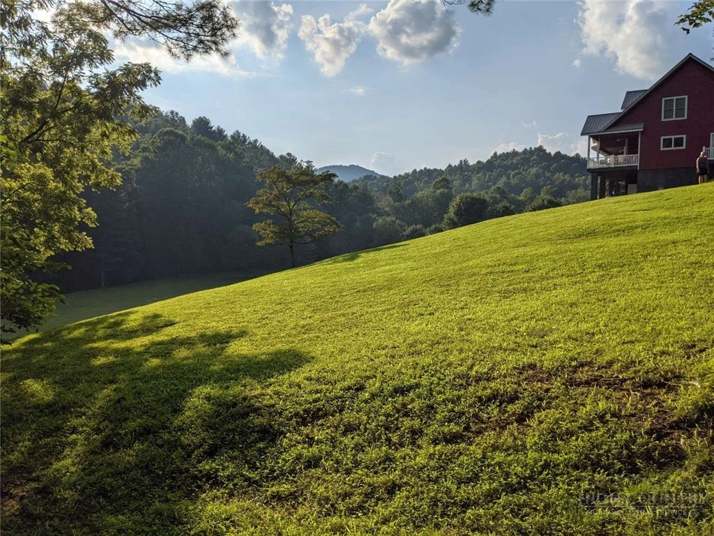Image number 2 for the current listing