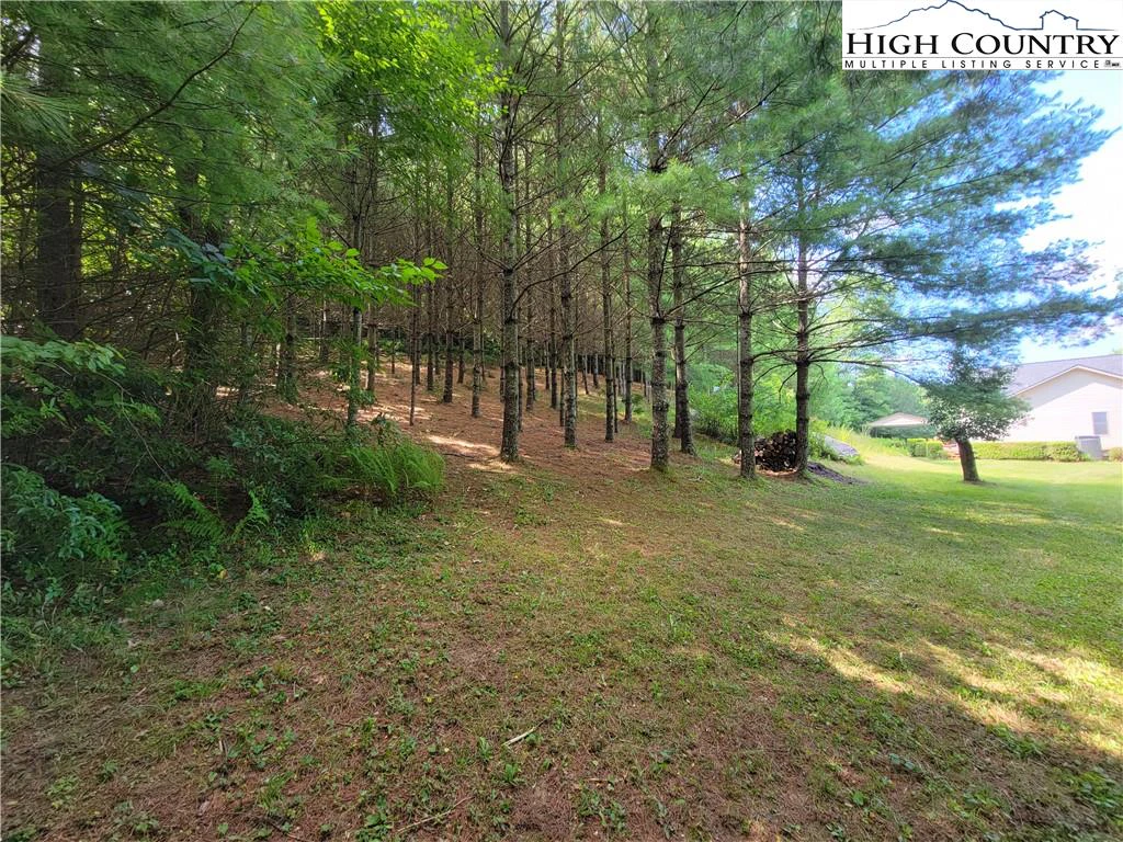 Image number 11 for the current listing
