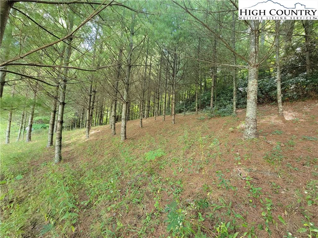 Image number 12 for the current listing
