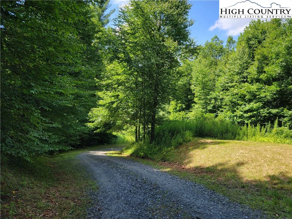 Image number 21 for the current listing