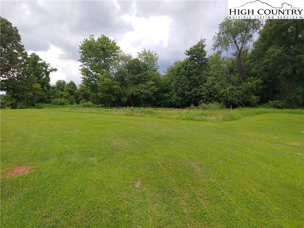 Image number 4 for the current listing