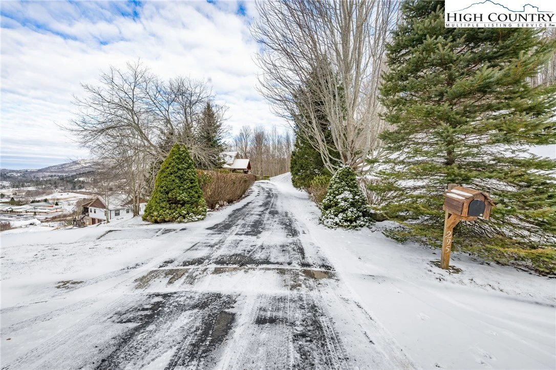 Image number 16 for the current listing