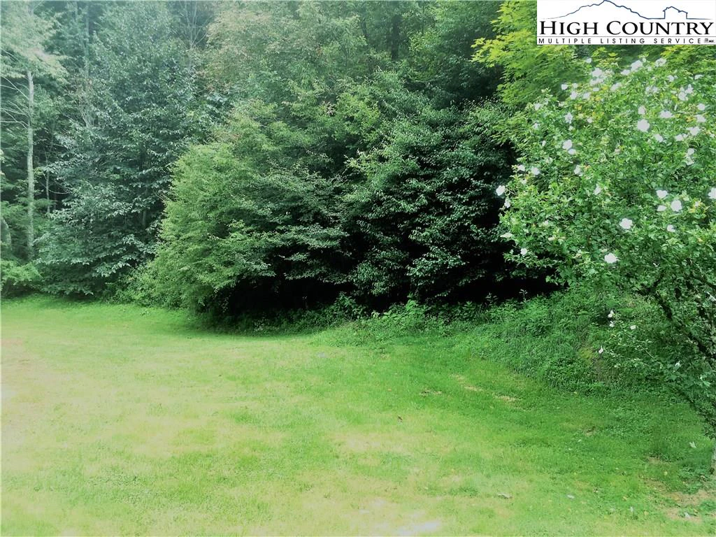 Image number 4 for the current listing
