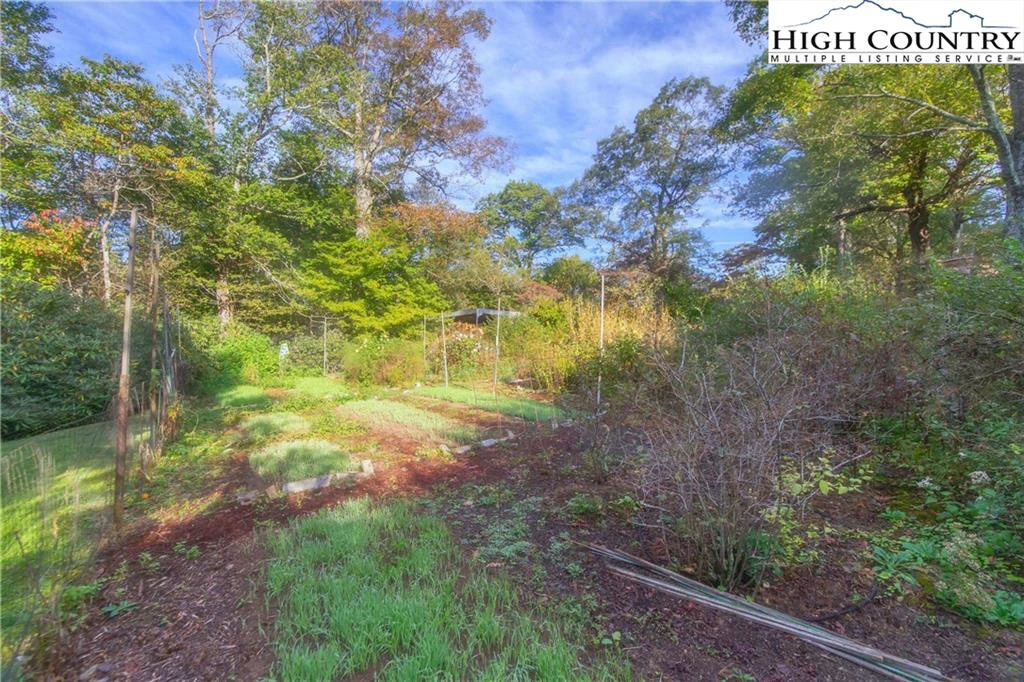 Image number 15 for the current listing