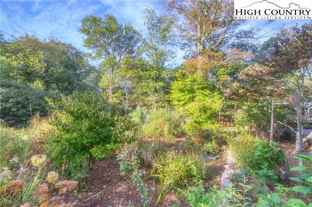 Image number 16 for the current listing