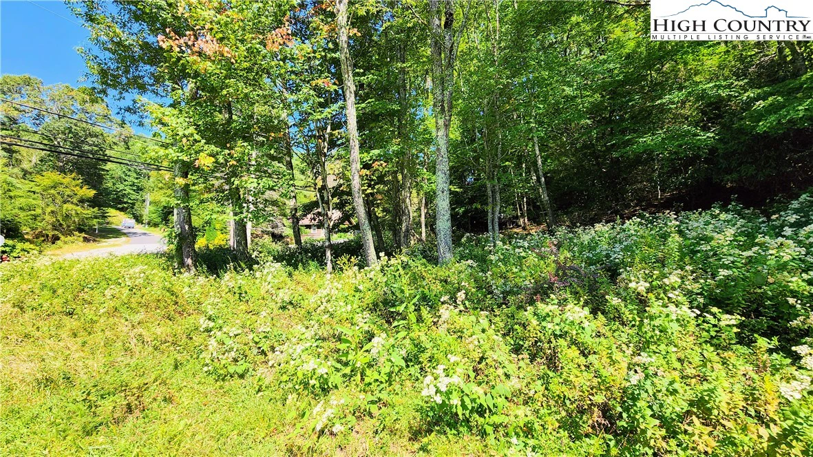 Image number 2 for the current listing