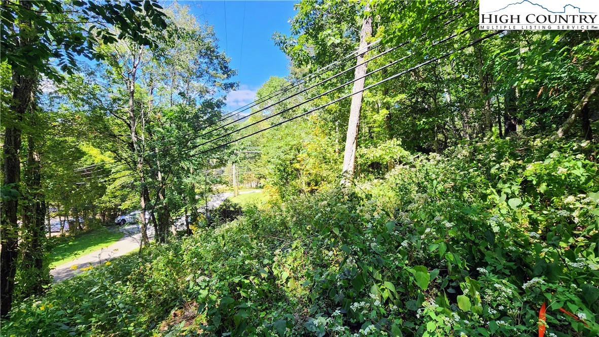Image number 14 for the current listing