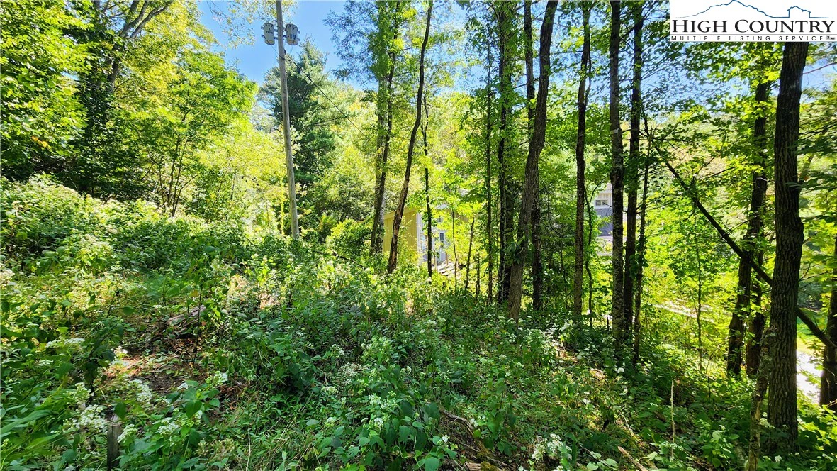 Image number 15 for the current listing