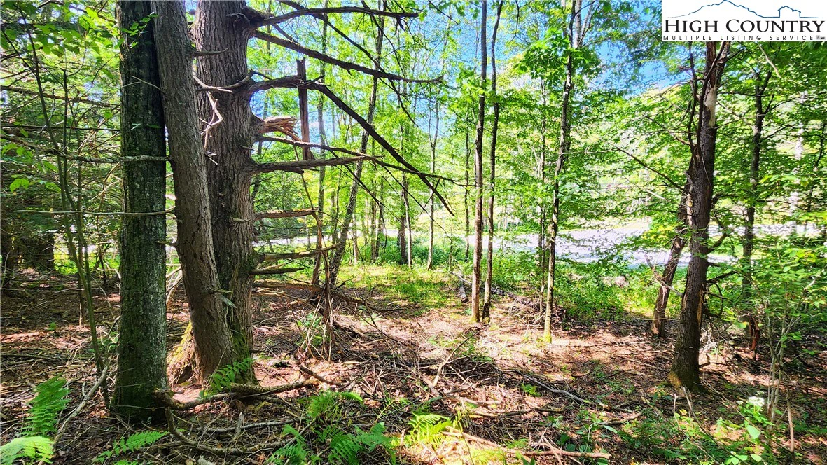 Image number 16 for the current listing