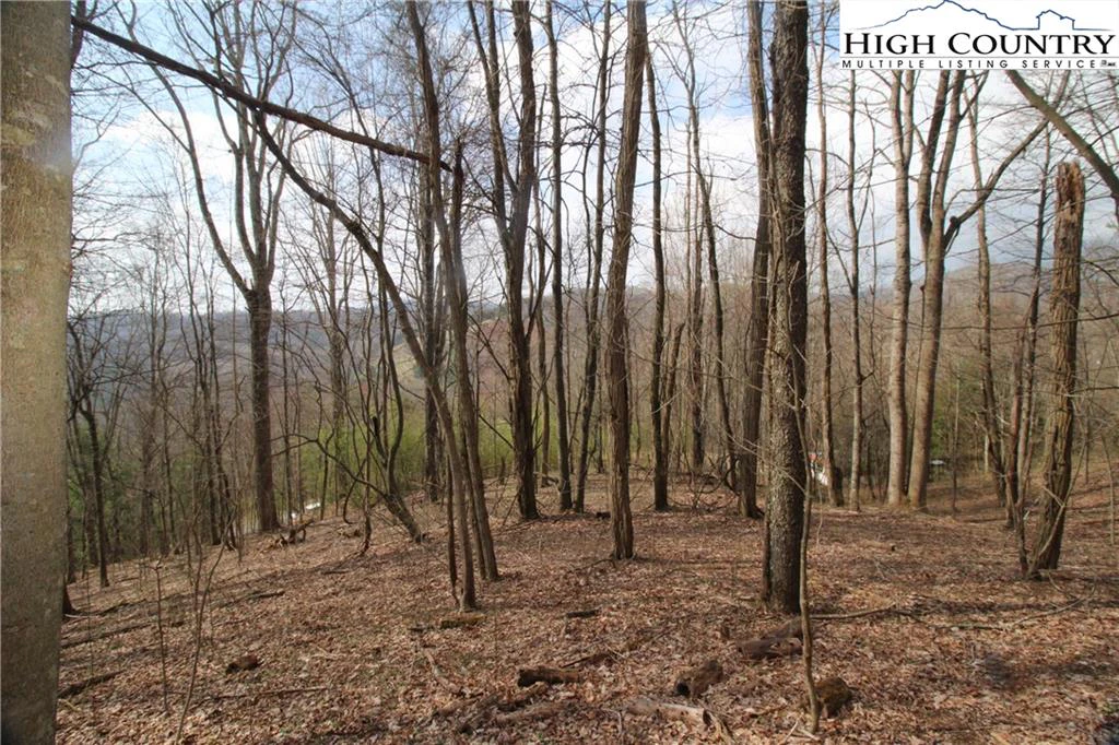 Image number 1 for the current listing