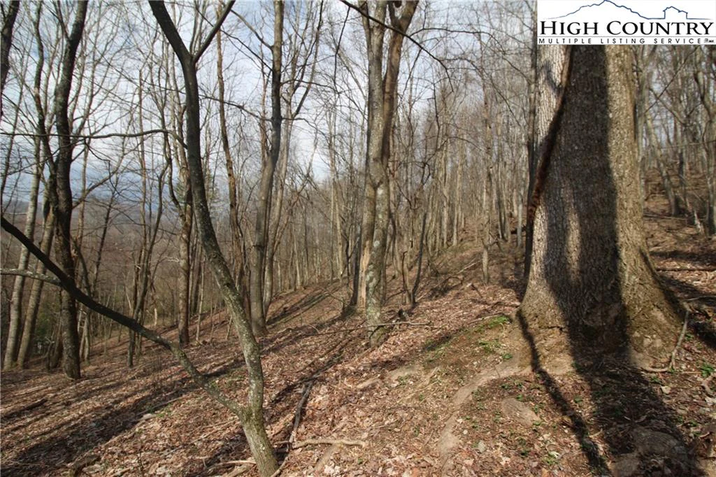 Image number 11 for the current listing