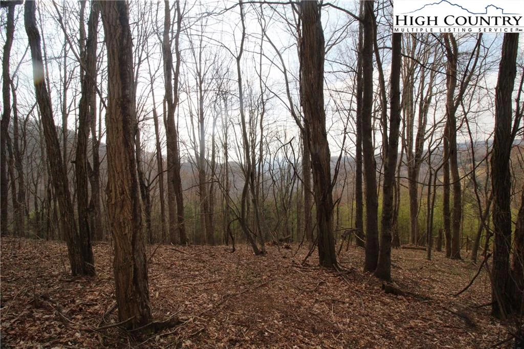 Image number 13 for the current listing