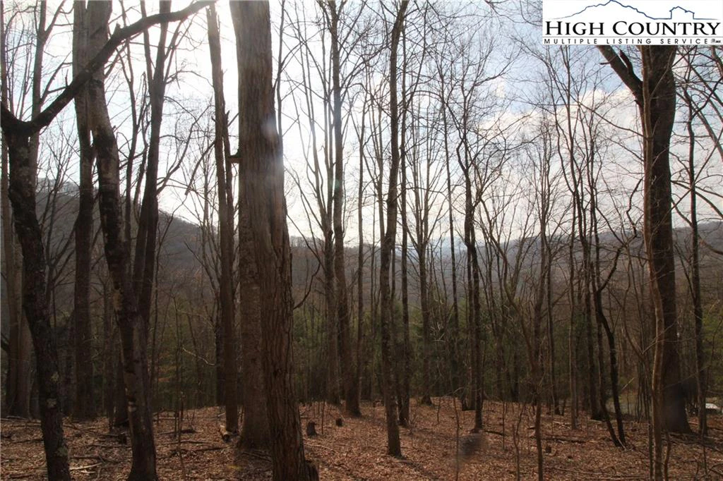 Image number 14 for the current listing